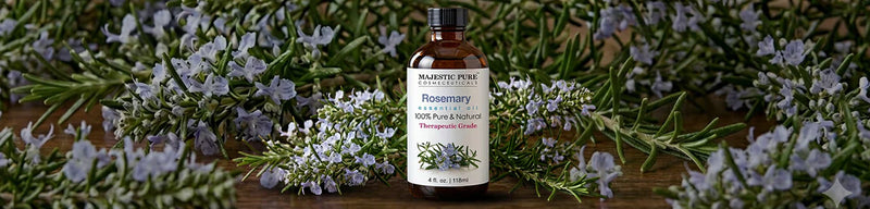 
  
    Rosemary Oil for Hair Growth
  
