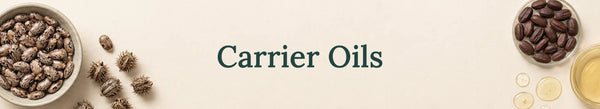 
  
    Carrier Oils - Majestic Pure Cosmeceuticals
  
  treatment products collection
