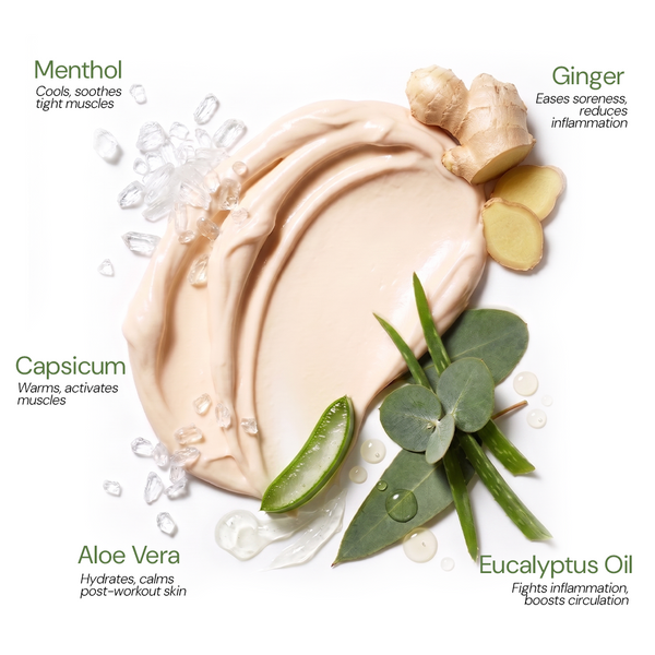 
  
    Hot Cream with Eucalyptus and Menthol — Muscle Recovery and Targeted Relief — Majestic Pure
  
