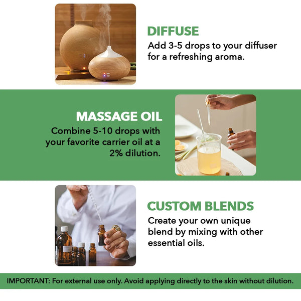 
  
    Tea Tree Essential Oil | 100% Pure and Natural | 4 fl oz
  
