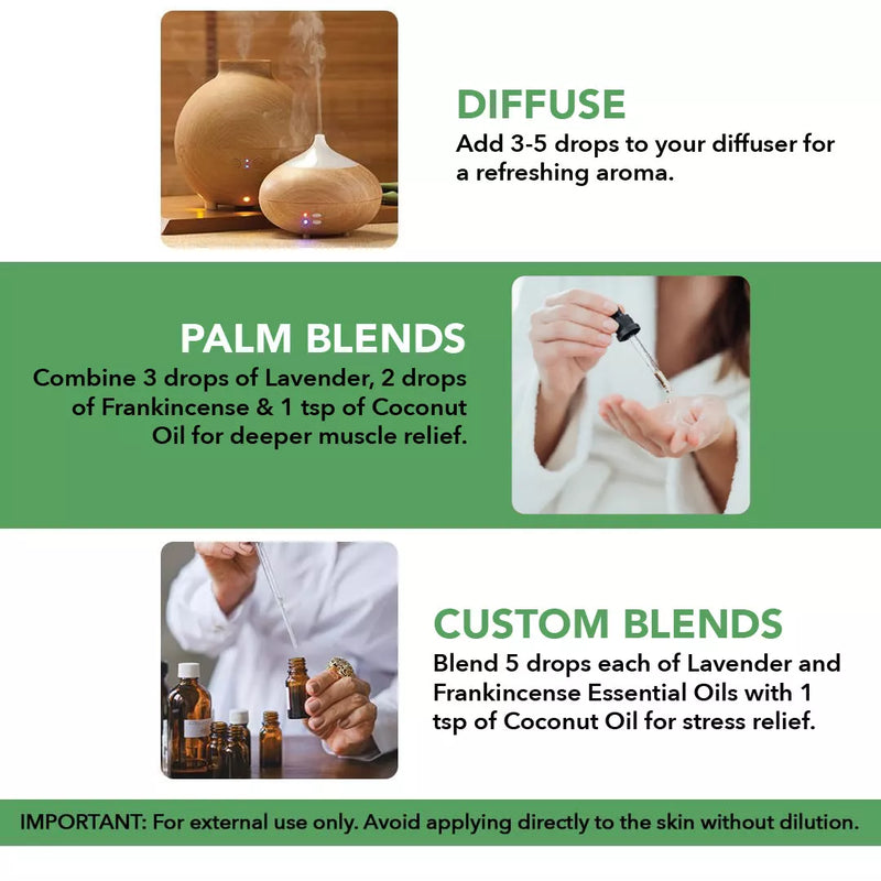 
  
    Sleep Harmony Wellness Set
  

