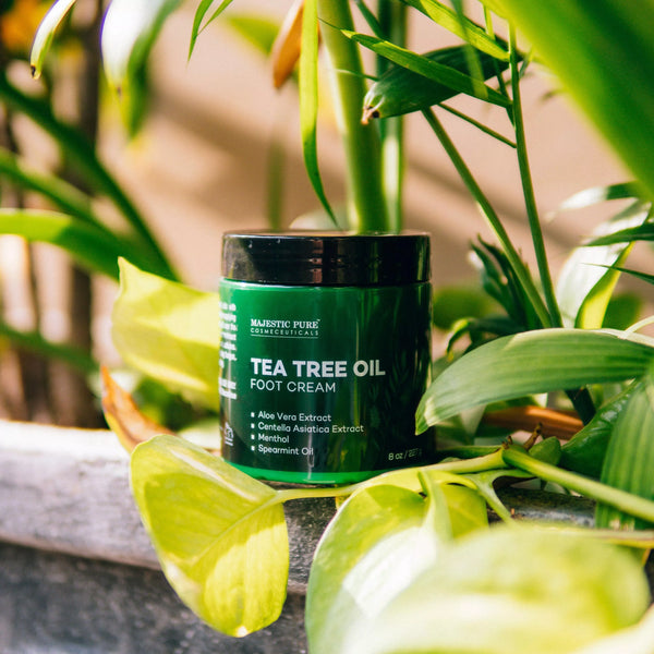 
  
    Tea Tree Foot Cream with Aloe Vera Extract - 8 oz
  
